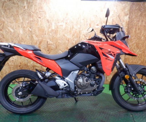 V-Strom250SX