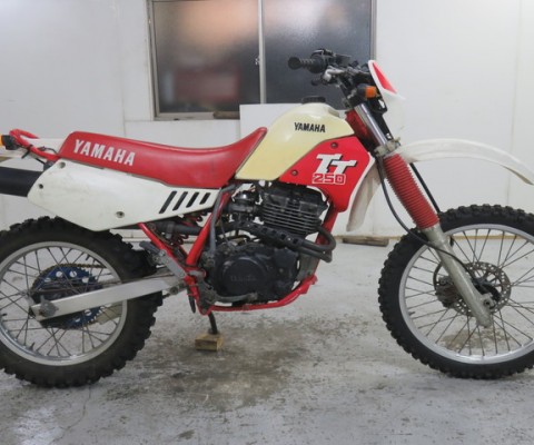 TT250