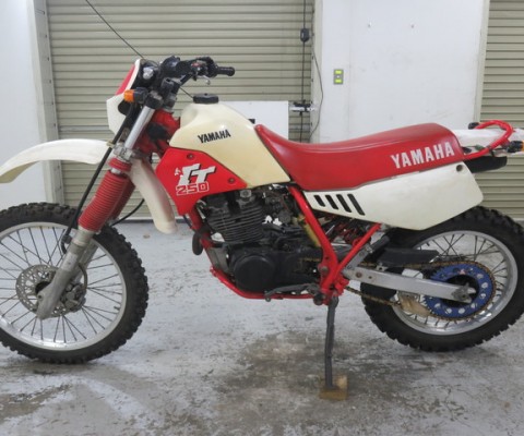 TT250