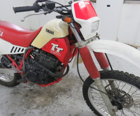 TT250