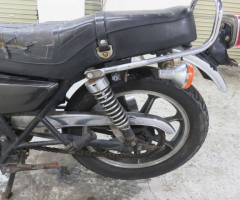 Z250 FS