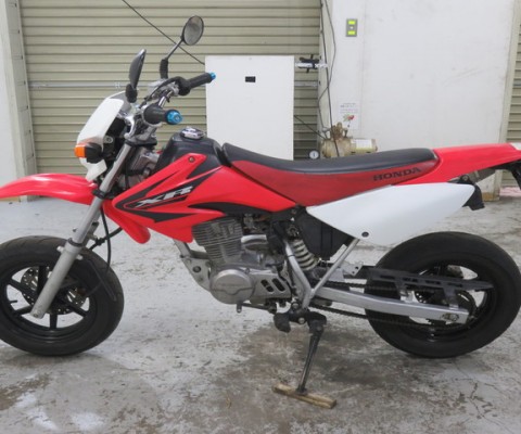 XR50MOTARD