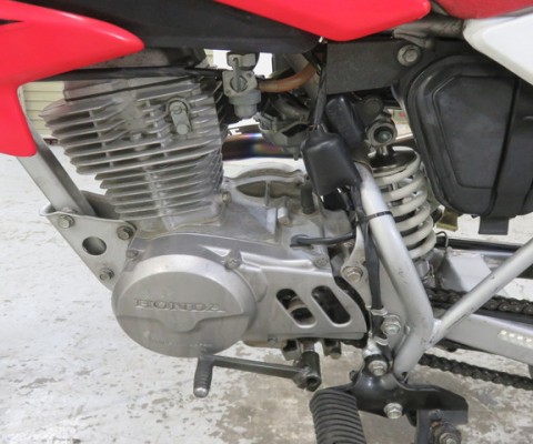 XR50MOTARD