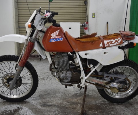 XLR250R
