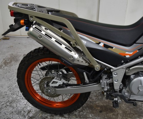 SEROW250-2
