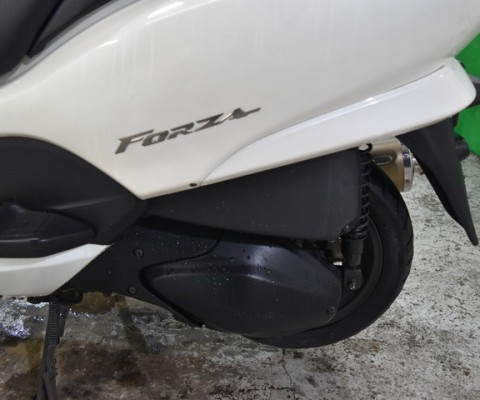 FORZA250-2Z