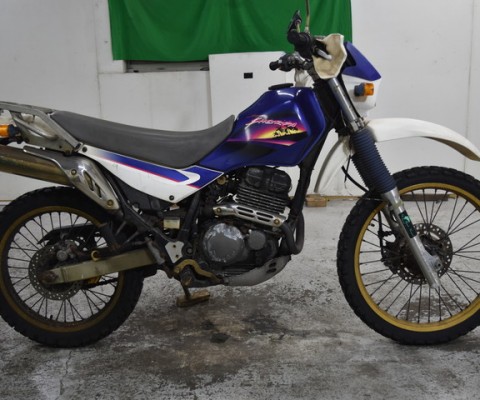 SUPER SHERPA250