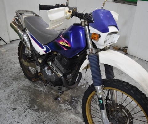 SUPER SHERPA250