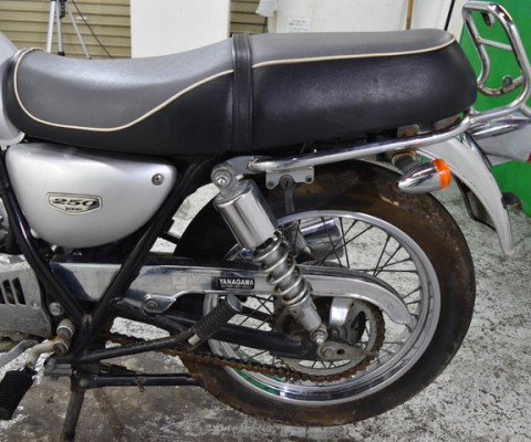 VOLTY250