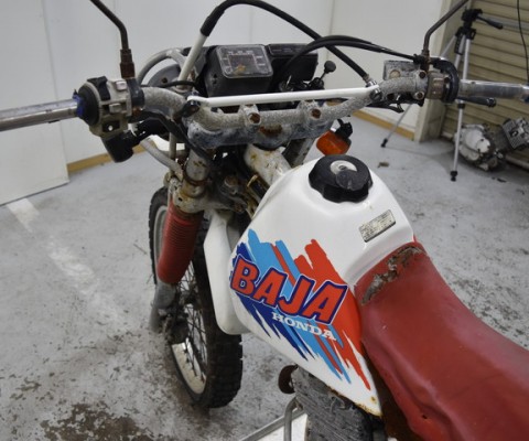 XLR250