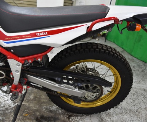 SEROW250-3