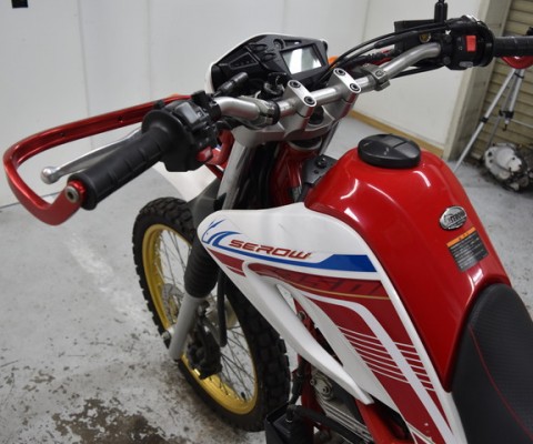 SEROW250-3