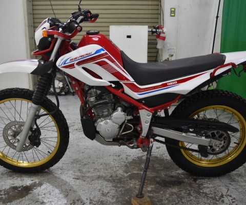 SEROW250-3