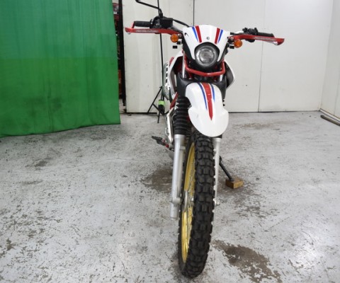 SEROW250-3