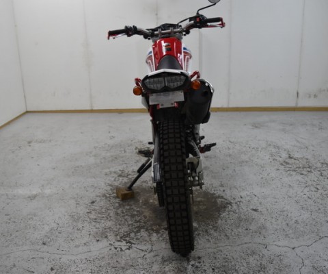 SEROW250-3