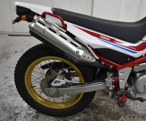 SEROW250-3