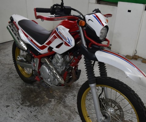 SEROW250-3
