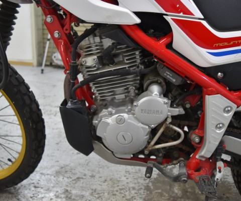 SEROW250-3