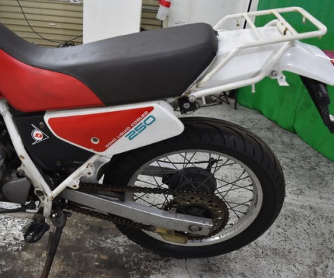 XL250 DEGREE