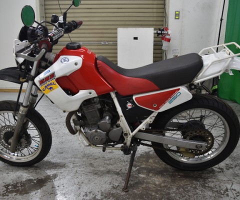 XL250 DEGREE