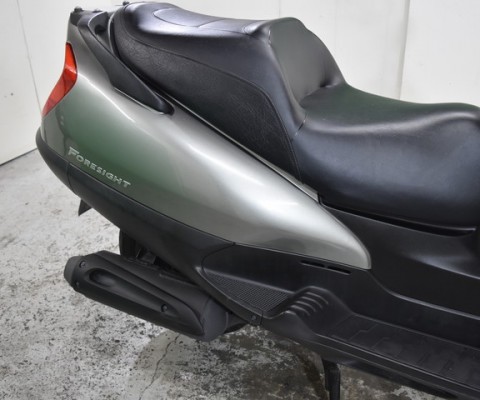FORESIGHT250 EX