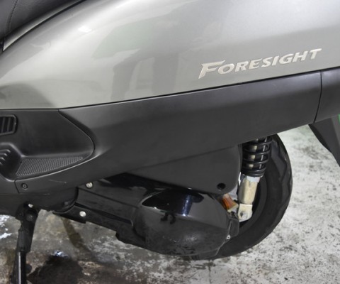 FORESIGHT250 EX