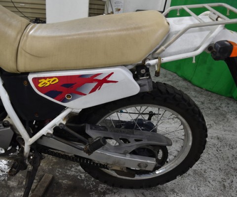 XL250 DEGREE