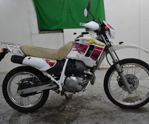 XL250 DEGREE
