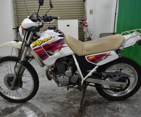 XL250 DEGREE
