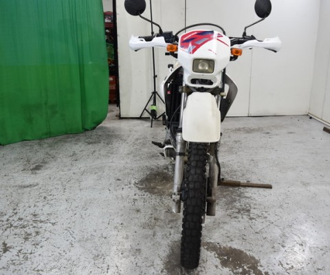 XL250 DEGREE