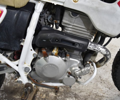 XL250 DEGREE