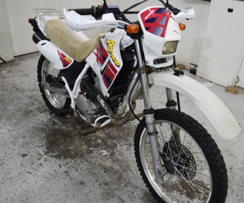 XL250 DEGREE