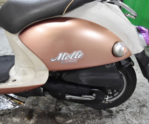 VINO MOLFE