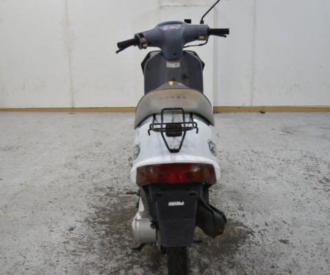 PAL50