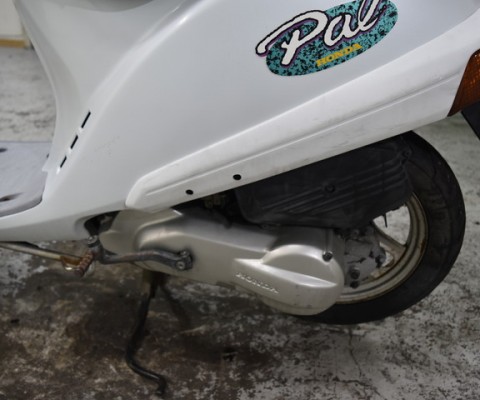 PAL50