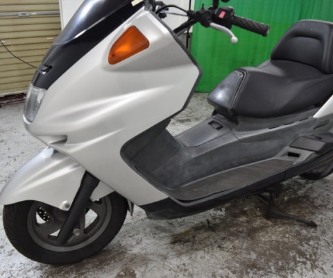MAJESTY250
