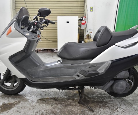 MAJESTY250