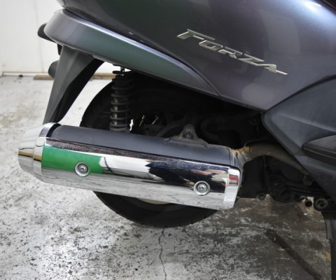 FORZA250-2Z