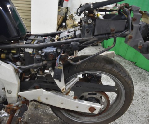 FZR250R