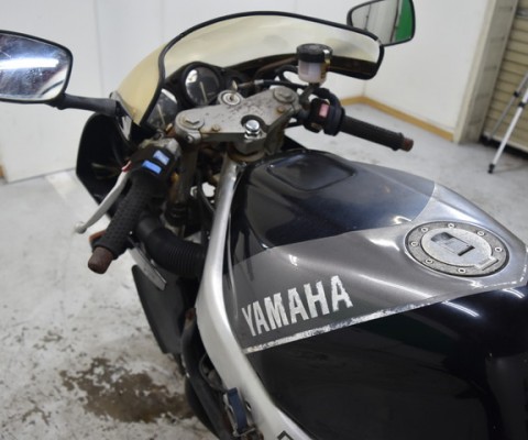 FZR250R