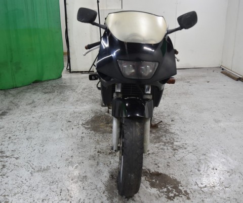 FZR250R