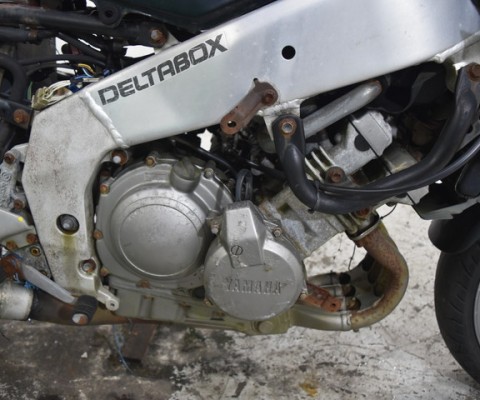 FZR250R