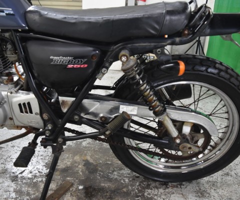 GRASS TRACKER250 BB