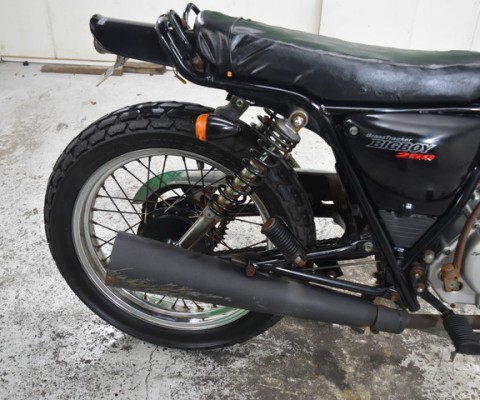 GRASS TRACKER250 BB