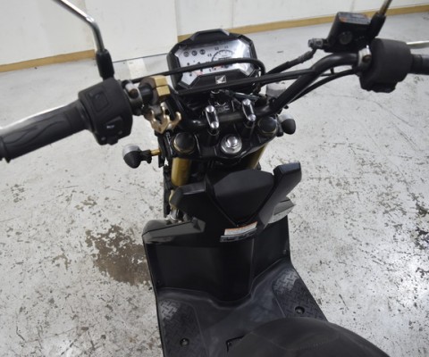 ZOOMER X110
