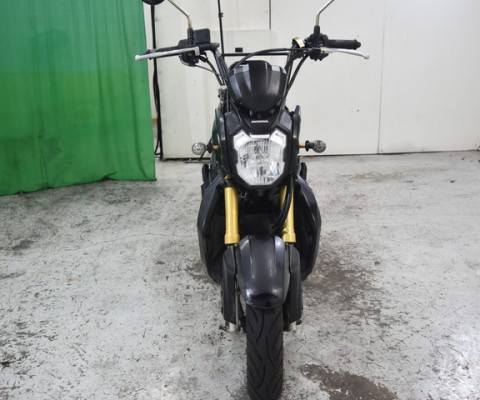 ZOOMER X110