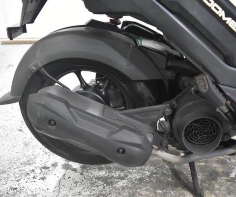 ZOOMER X110