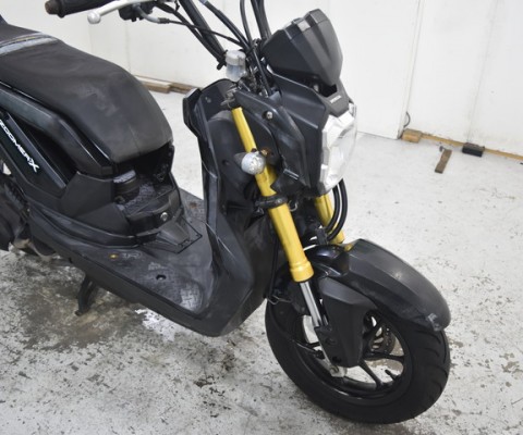 ZOOMER X110