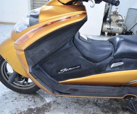 GEMMA250