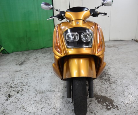 GEMMA250